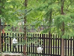 -上方山森林动物世界