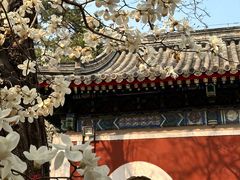 -北京艺术博物馆(万寿寺)