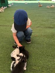 -萌宠亲子动物乐园(槐房万达店)