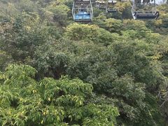 -富斯特索道