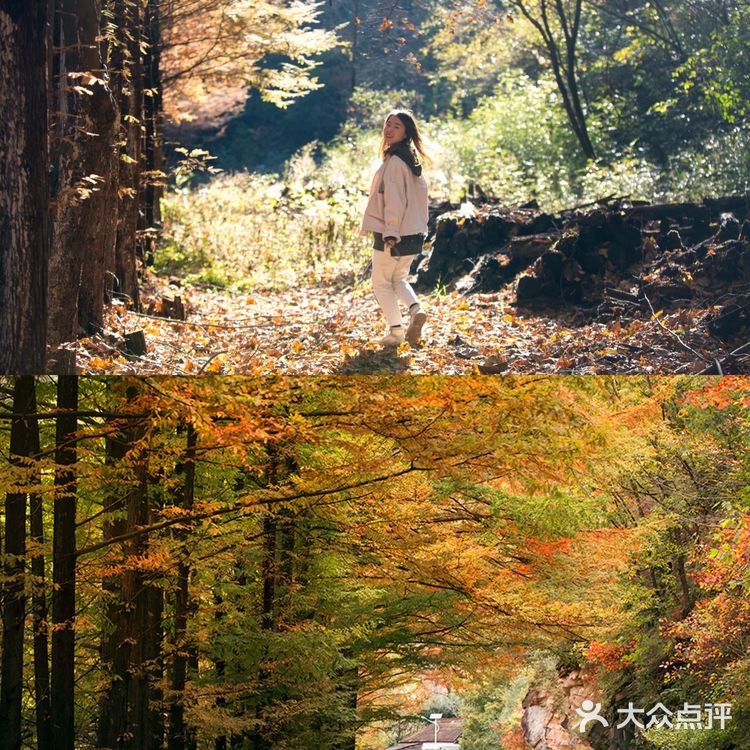 秦岭赏秋 | 这个十一假期,去看秦岭漫山红叶❗