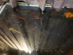 -醉霖生态餐厅(交大店)