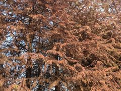 -滨湖塘西河公园