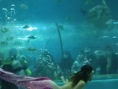 -苏州海洋馆