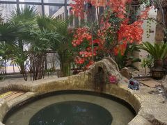 -悦隆庄温泉度假酒店