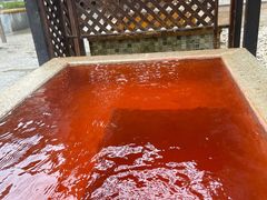 -春晖园度假酒店温泉