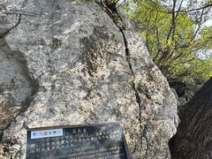 -神农山景区