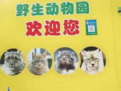 -青藏高原野生动物园