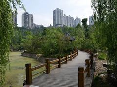 -龙头寺公园