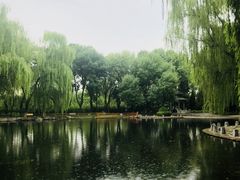 -玲珑塔公园