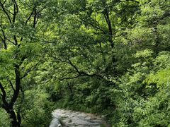 -阳台山自然风景区