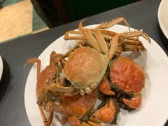 螃蟹-蓝钻·国际美食海鲜自助百汇(西直门店)