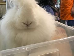 -藦茜花园宠物主题亲子互动体验馆(国顺东路店)