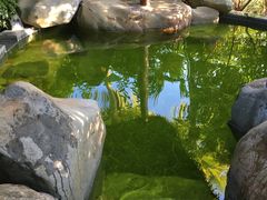 -水底山庄园温泉