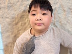 -吉丁鸟咖·异宠·寄养