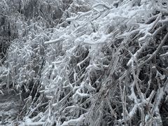 -秦岭终南山世界地质公园翠华山景区