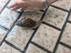 -九龙公园