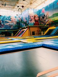 -爱丽丝奇幻乐园