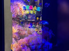 -大连圣亚海洋世界