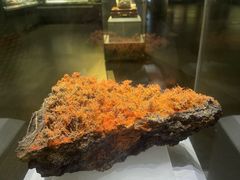 -湖南省地质博物馆