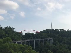 -金鸡山公园