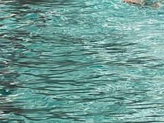 -江湾体育中心游泳馆