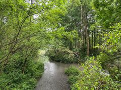 -桤木河湿地公园