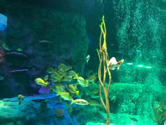 -沈阳海洋探索中心