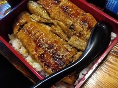 鳗鱼饭-平川日本料理