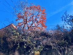 -天津盘山风景名胜区