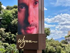 -拉斯维加斯永利酒店