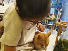 -平行世界·猫咖(首经贸店)