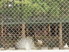 -南京金牛湖风景区