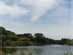 -福田红树林生态公园
