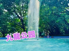 -九龙公园