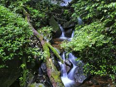 -江西阳明山国家森林公园