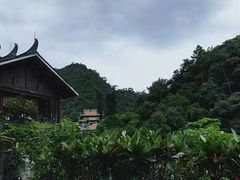 -南海湾森林生态园