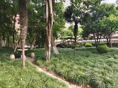 -上海外国语大学(虹口校区)