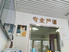 -守诺宠物医院·眼科· 特色牙科·异宠专科(虹口店)