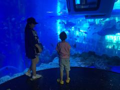 -成都浩海立方海洋公园