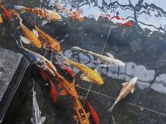 -天津海河悦榕庄·Lobby Lounge大堂吧