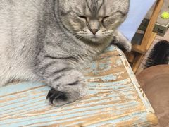 -小时光咖啡馆(开森度假森林店)