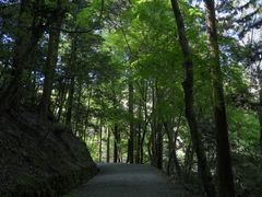 -奈良公园