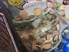 -乔家小院•非遗驴肉•本地小海鲜(滨河路店)