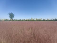 -汉长安城未央宫国家考古遗址公园