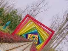 -合肥滨湖国家森林公园