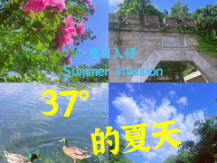 -什刹海