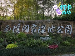 -西溪国家湿地公园