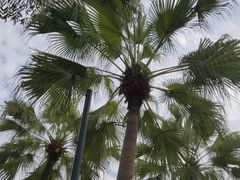 -重庆海昌加勒比海水世界