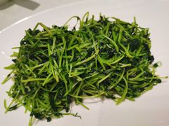 -蝶园·装修中(BFC外滩金融中心店)